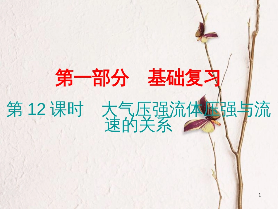 广东省中考物理总复习 第一部分 基础复习 第12课时 大气压强流体压强与流速的关系课后作业课件_第1页