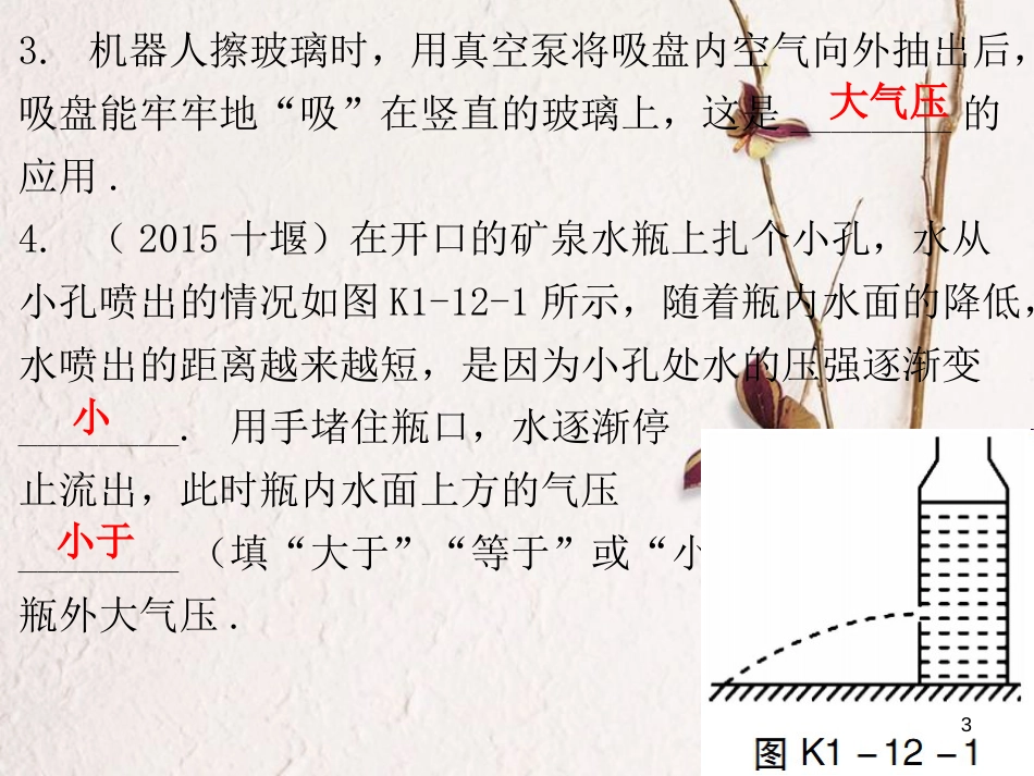 广东省中考物理总复习 第一部分 基础复习 第12课时 大气压强流体压强与流速的关系课后作业课件_第3页