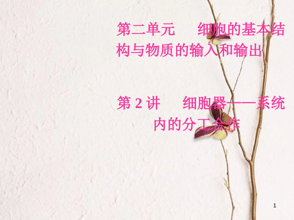 2019版高考生物总复习 第二单元 细胞的基本结构与物质的输入和输出 第2讲 细胞器—系统内的分工合作课件_第1页