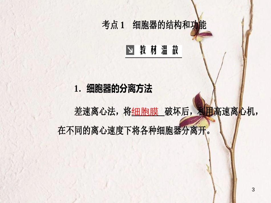 2019版高考生物总复习 第二单元 细胞的基本结构与物质的输入和输出 第2讲 细胞器—系统内的分工合作课件_第3页