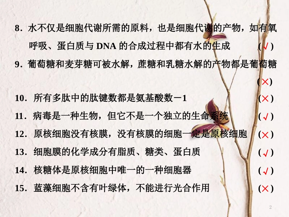（全国通用）高考生物二轮复习 专题酷练 附180个易错点考前再提醒课件_第2页