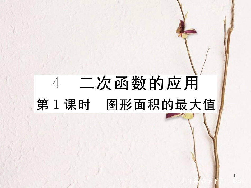 年九年级数学下册 第二章 二次函数 2.4 第1课时 图形面积最大值练习课件 （新版）北师大版_第1页
