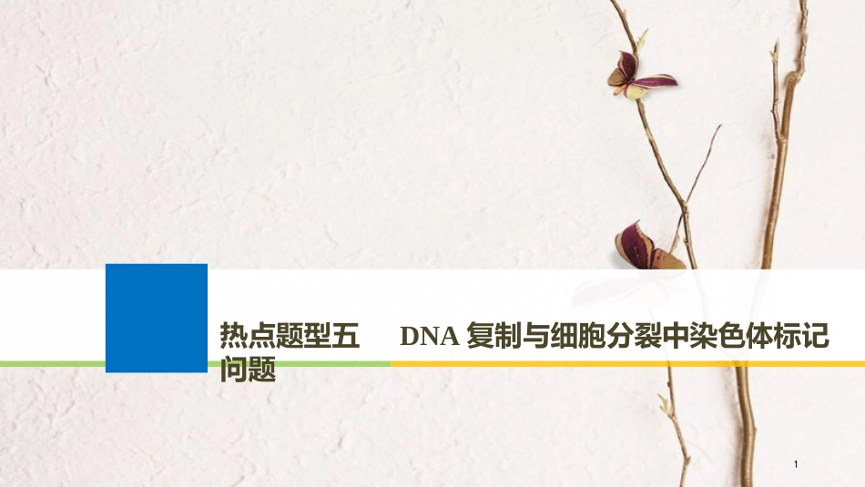 2019版生物高考大一轮复习 热点题型五 DNA复制与细胞分裂中染色体标记问题课件 北师大版_第1页