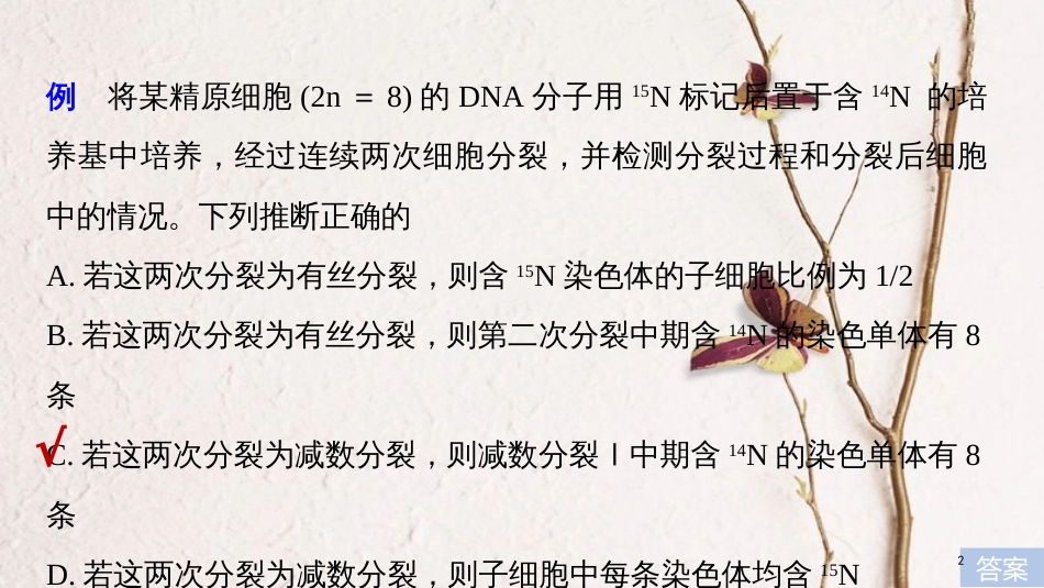 2019版生物高考大一轮复习 热点题型五 DNA复制与细胞分裂中染色体标记问题课件 北师大版_第2页