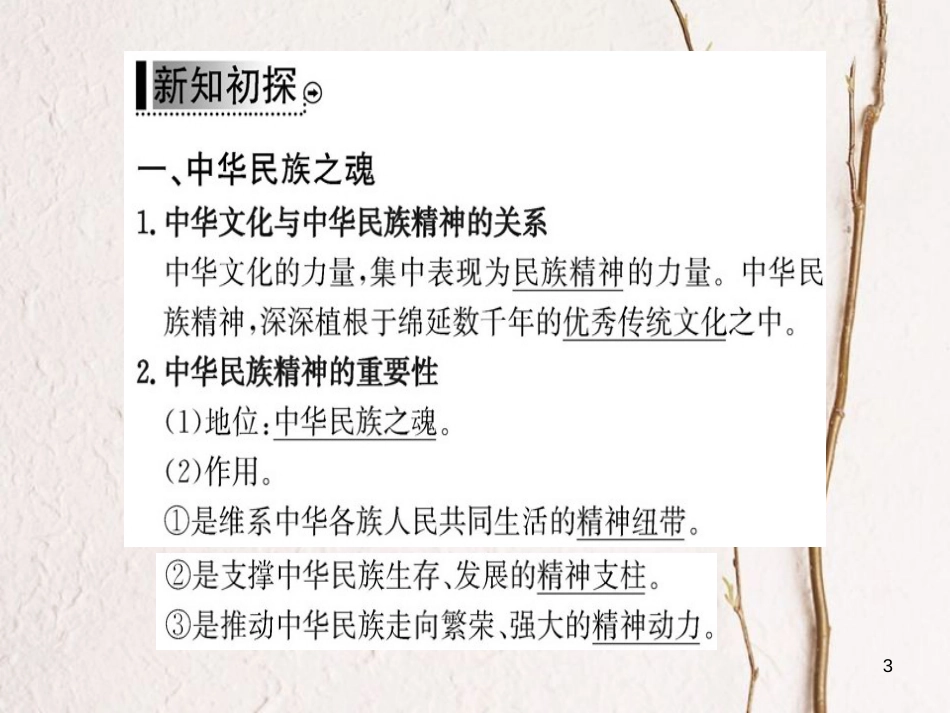 高中政治 第三单元 中华文化与民族精神 第七课 我们的民族精神 第一框 永恒的中华民族精神课件 新人教版必修3_第3页