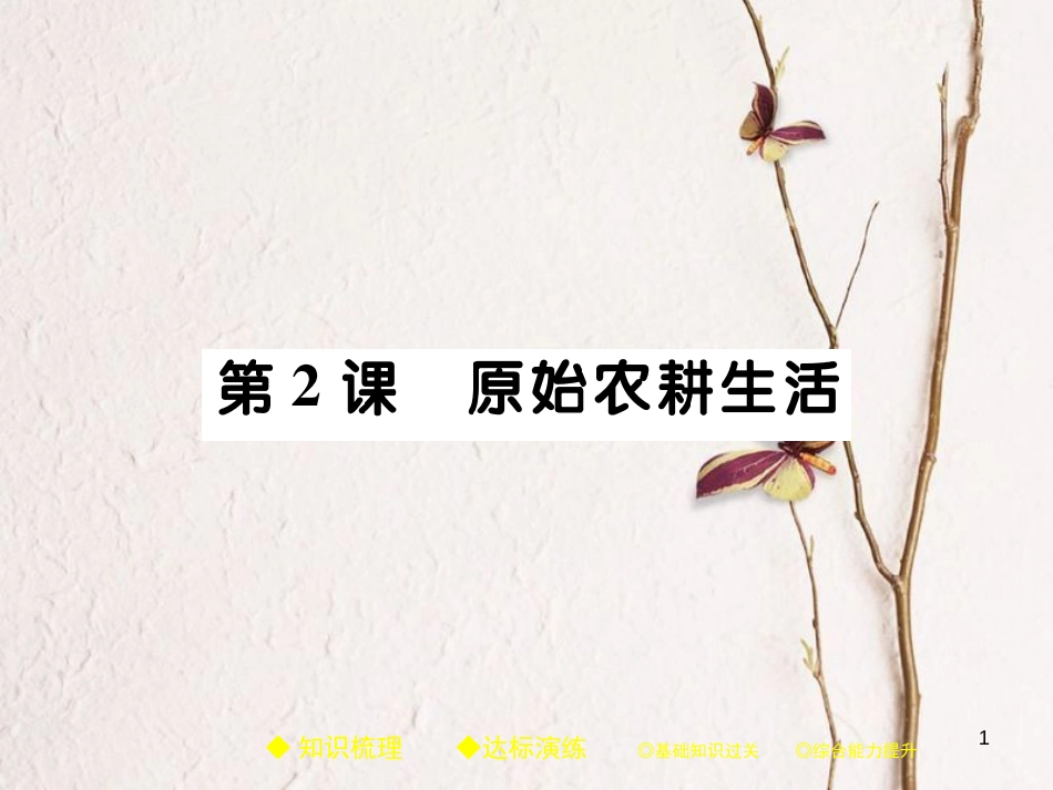 七年级历史上册 第一单元 史前时期：中国境内人类的活动 第2课 原始农耕生活习题课件 新人教版_第1页