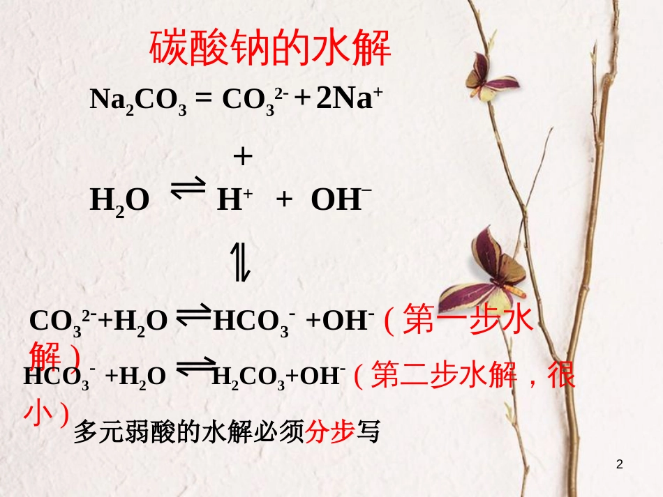 浙江省杭州市高中化学 专题3 溶液中的离子反应 3.3 盐类的水解2课件 苏教版选修4_第2页