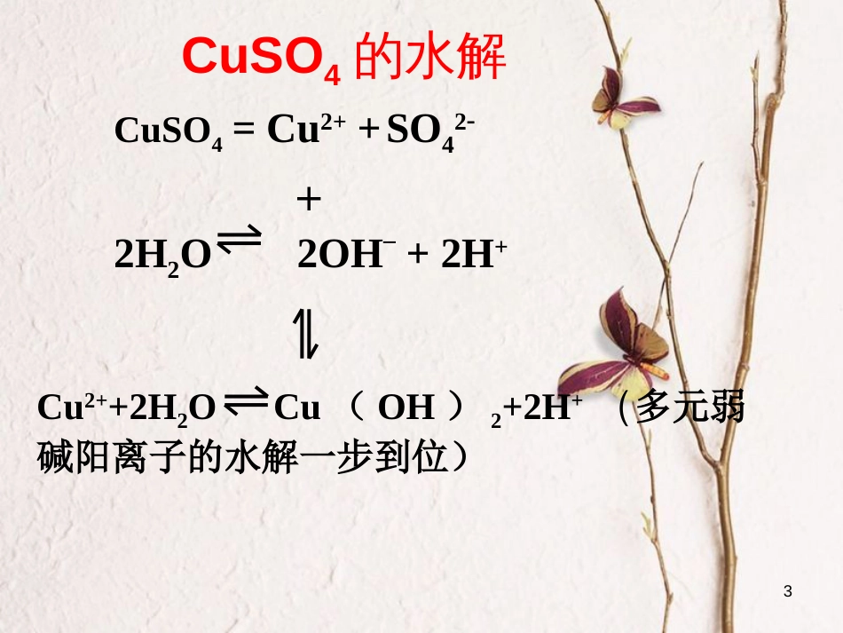 浙江省杭州市高中化学 专题3 溶液中的离子反应 3.3 盐类的水解2课件 苏教版选修4_第3页