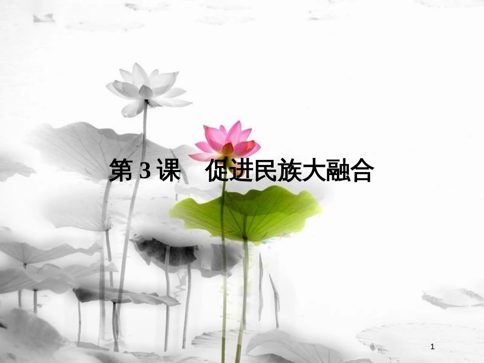 高中历史 第3单元 北魏孝文帝改革 第3课 促进民族大融合课件 新人教版选修1_第1页