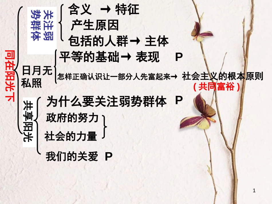 九年级政治全册 第三单元《同在阳光下》复习课件 教科版_第1页