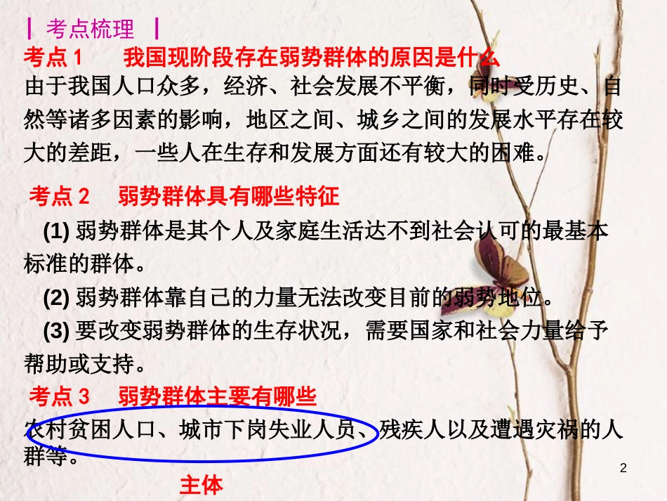 九年级政治全册 第三单元《同在阳光下》复习课件 教科版_第2页