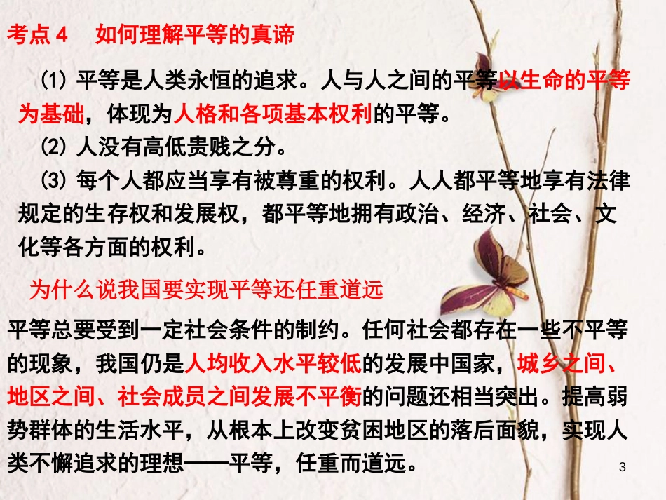 九年级政治全册 第三单元《同在阳光下》复习课件 教科版_第3页