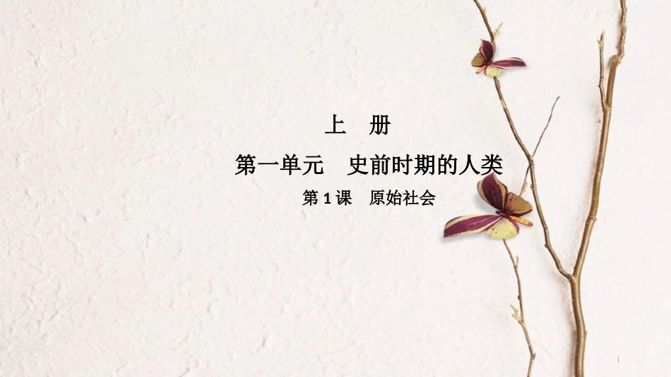九年级历史上册 第一单元 史前时期的人类 第1课 原始社会导学课件 中华书局版_第1页