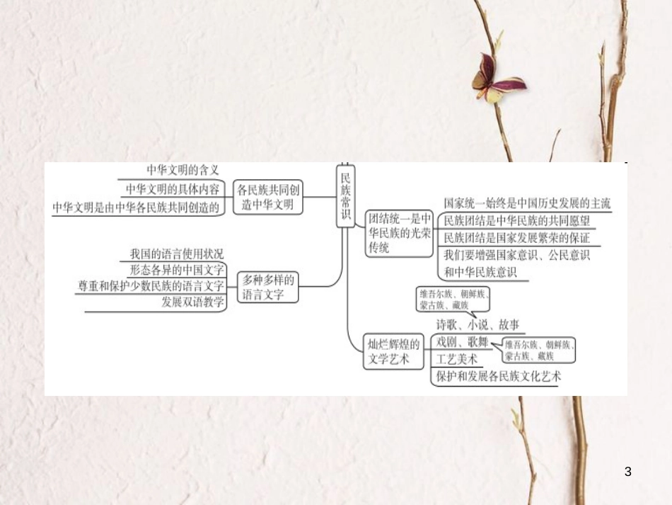 （河北专版）中考政治复习方案 第六单元 民族常识 第21课时 中华民族 中华文明课件_第3页