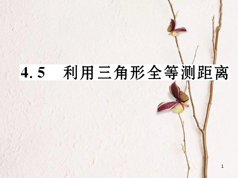 七年级数学下册 第4章 三角形 4.5 利用三角形全等测距离作业课件 （新版）北师大版_第1页