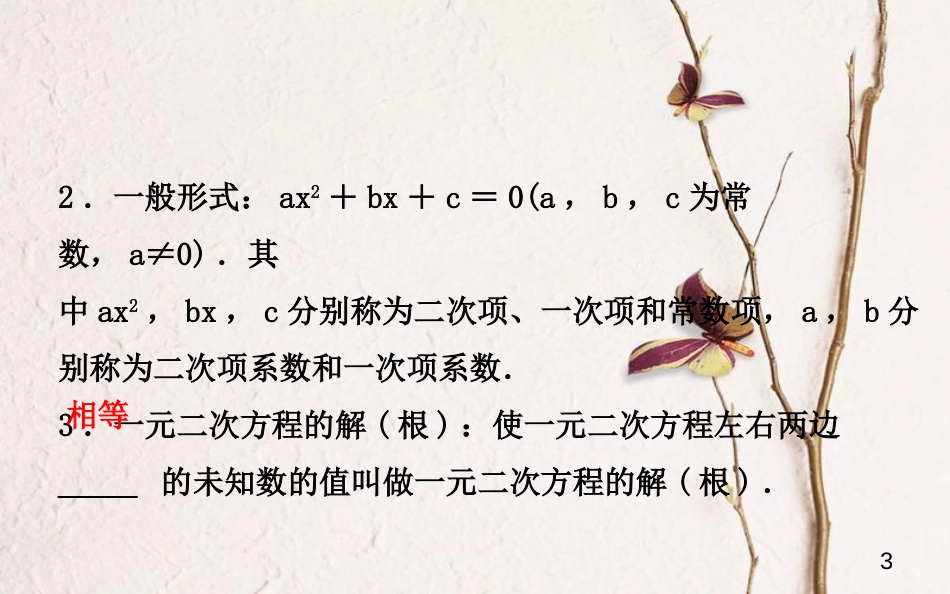 山东省济南市中考数学一轮复习 第二章 方程与不等式 第二节 一元二次方程课件_第3页