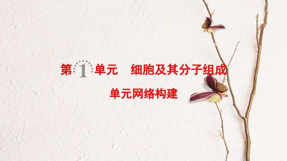（全国版）2019版高考生物一轮复习 第1单元 细胞及其分子组成单元网络构建课件_第1页