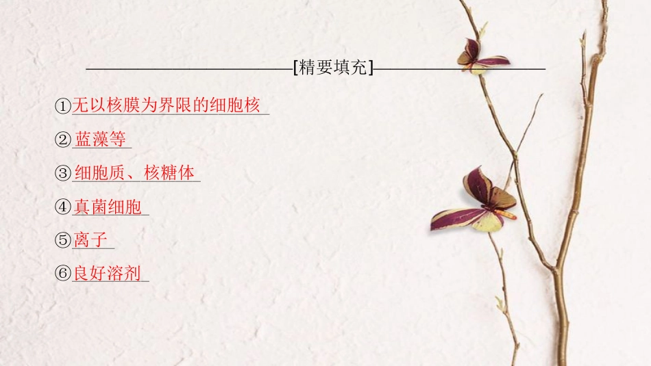 （全国版）2019版高考生物一轮复习 第1单元 细胞及其分子组成单元网络构建课件_第3页