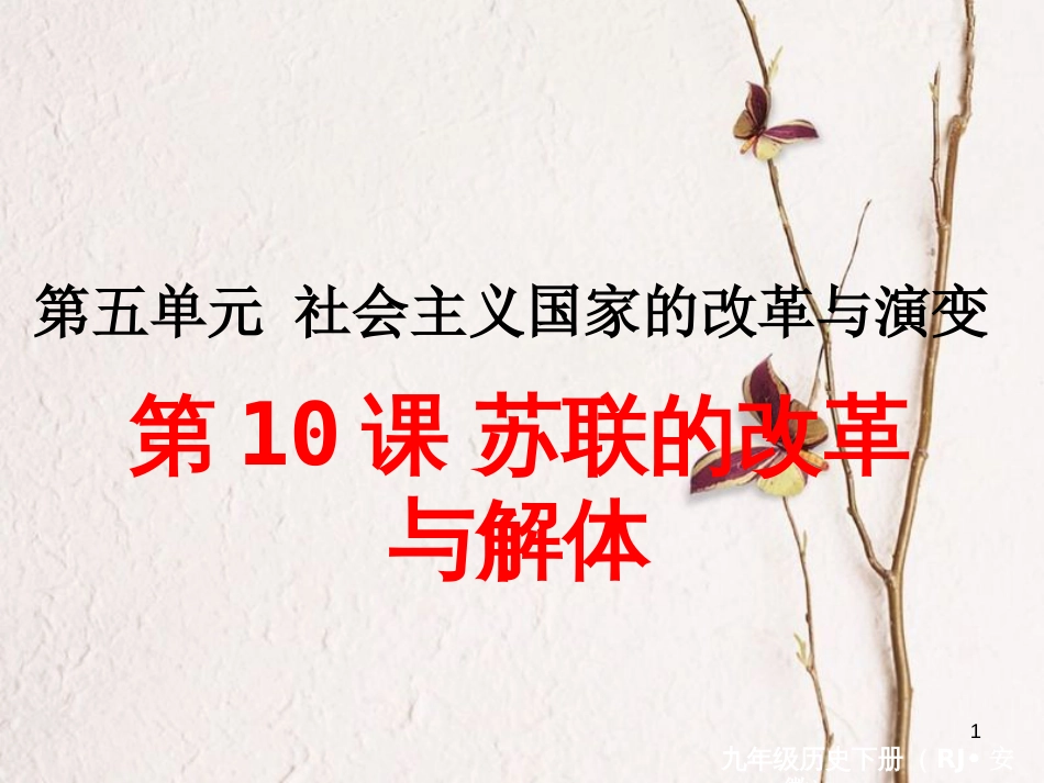 （安徽专版）九年级历史下册 第五单元 社会主义国家的改革与演变 第10课 苏联的改革与解体同步测试课件 新人教版_第1页