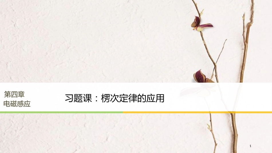 （浙江专版）高中物理 第四章 电磁感应 习题课：楞次定律的应用课件 新人教版选修3-2_第1页