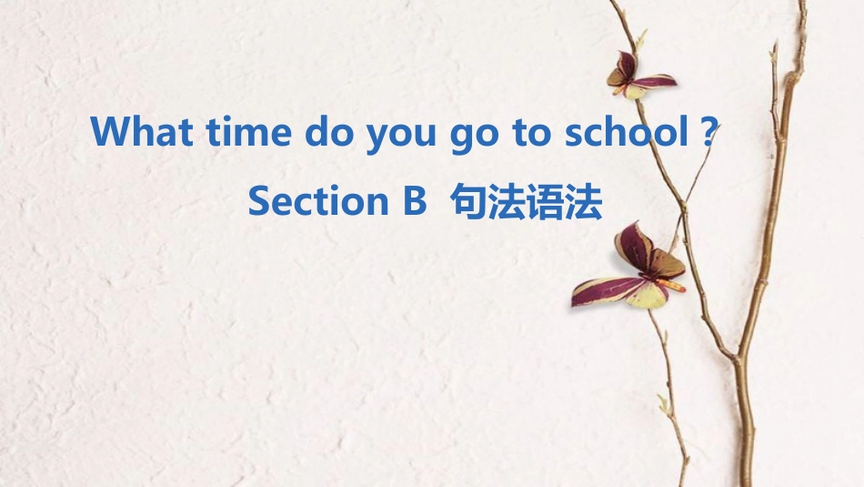 七年级英语下册 Unit 2 What time do you go to school Section B句法语法课件 （新版）人教新目标版_第1页