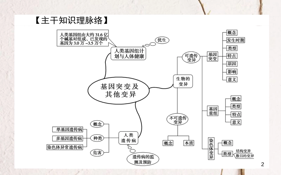 高中生物 第5章 基因突变及其他变异单元排查强化课件 新人教版必修2_第2页