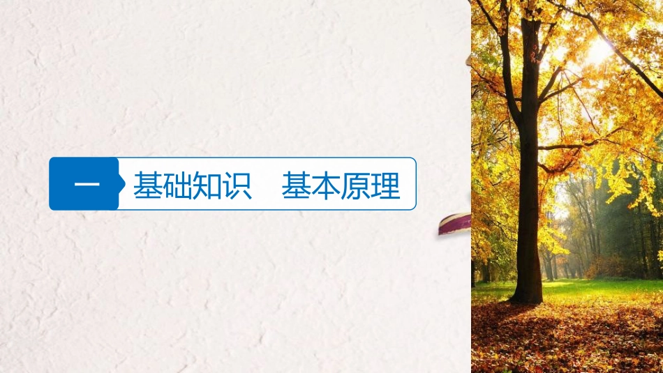 （浙江选考）高三地理二轮专题复习 专题三 大气与水的运动规律 微专题10 气候成因与特征课件 新人教版_第3页
