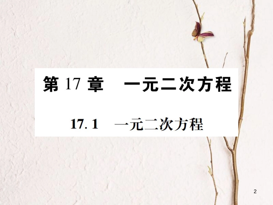 八年级数学下册 第17章 一元二次方程习题课件 （新版）沪科版_第2页