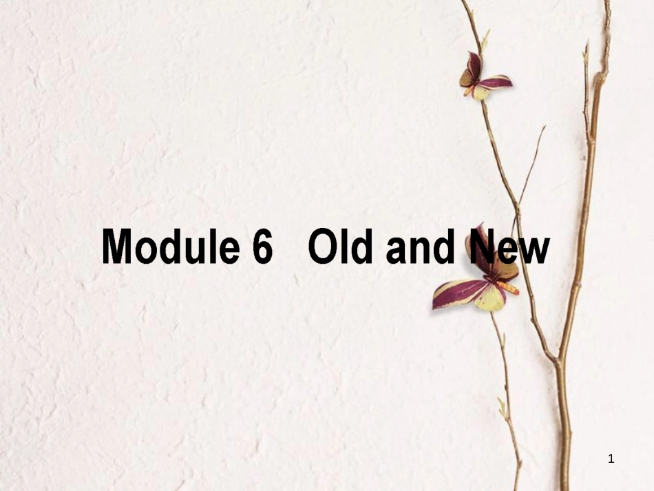 高考英语二轮复习 Module 6 Old and New课件 外研版必修3_第1页