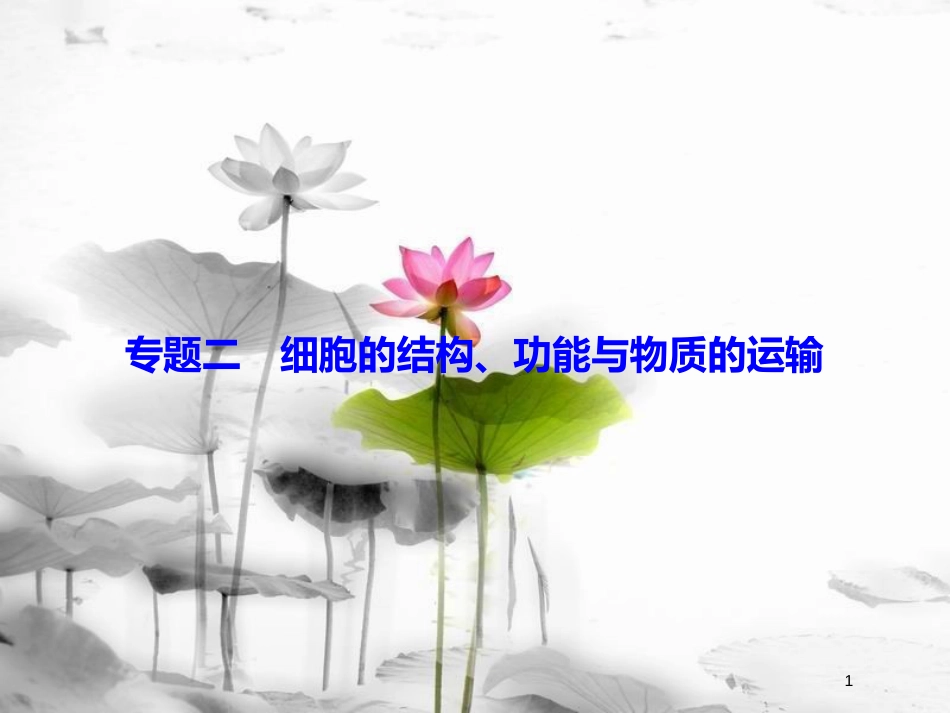 届高考生物大二轮复习 第1部分 重点讲练突破 专题二 细胞的结构、功能与物质的运输课件_第1页