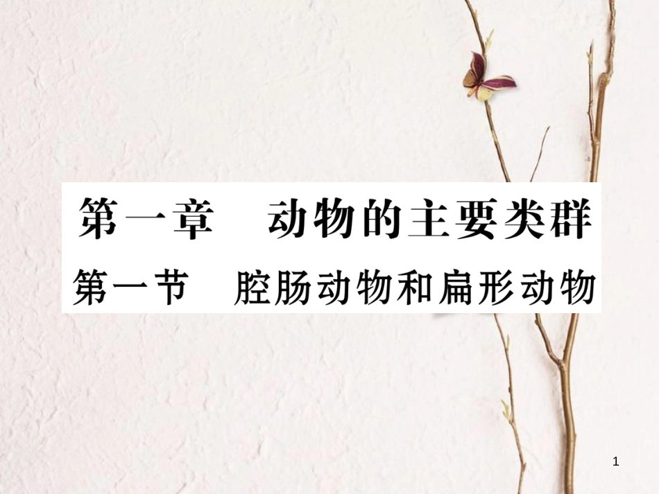 八年级生物上册 第五单元 第1章 第一节 腔肠动物和扁形动物课件 （新版）新人教版_第1页