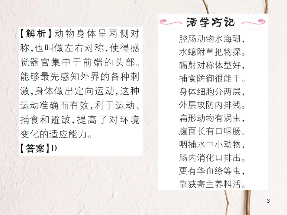 八年级生物上册 第五单元 第1章 第一节 腔肠动物和扁形动物课件 （新版）新人教版_第3页