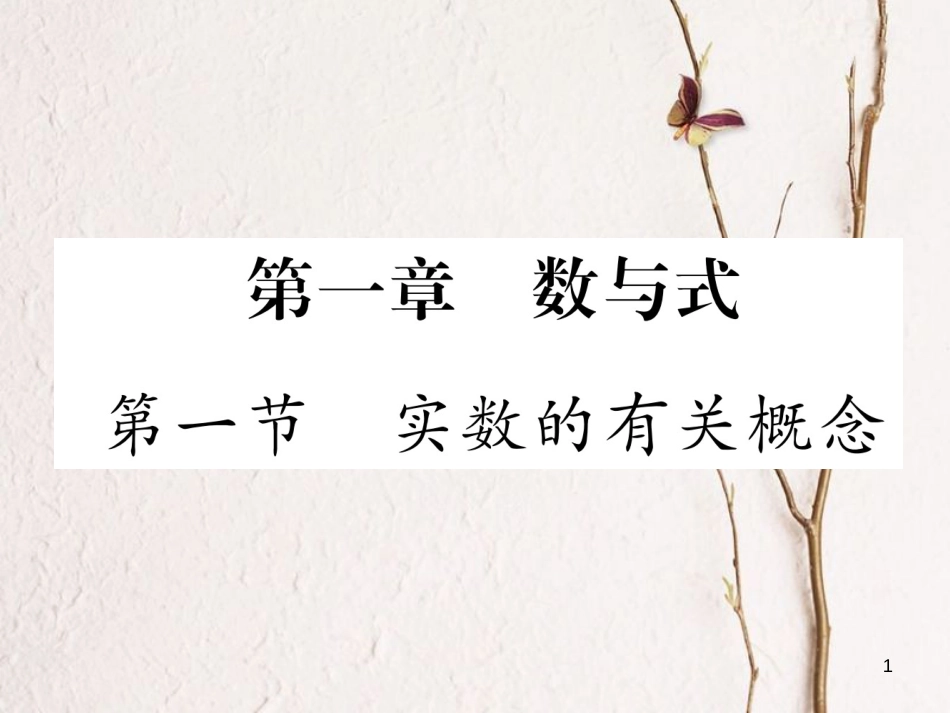 （青海专版）中考数学复习 第1编 教材知识梳理篇 第1章 数与式 第1节 实数的有关概念（精练）课件_第1页