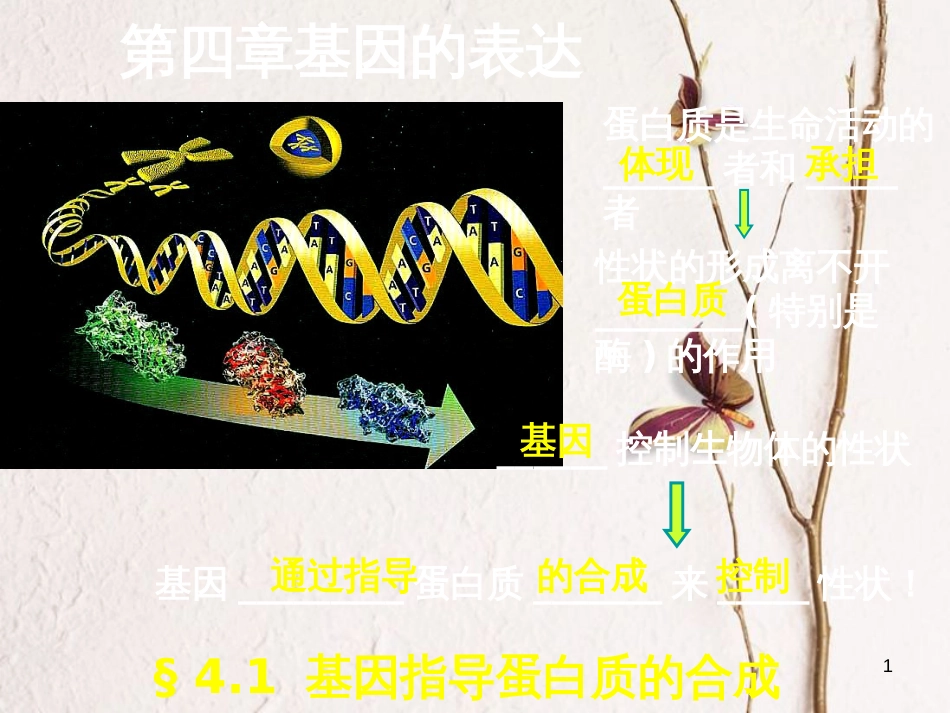 河北省南宫市高中生物 第四章 基因的表达 4.1 基因控制蛋白质合成课件 新人教版必修2_第1页