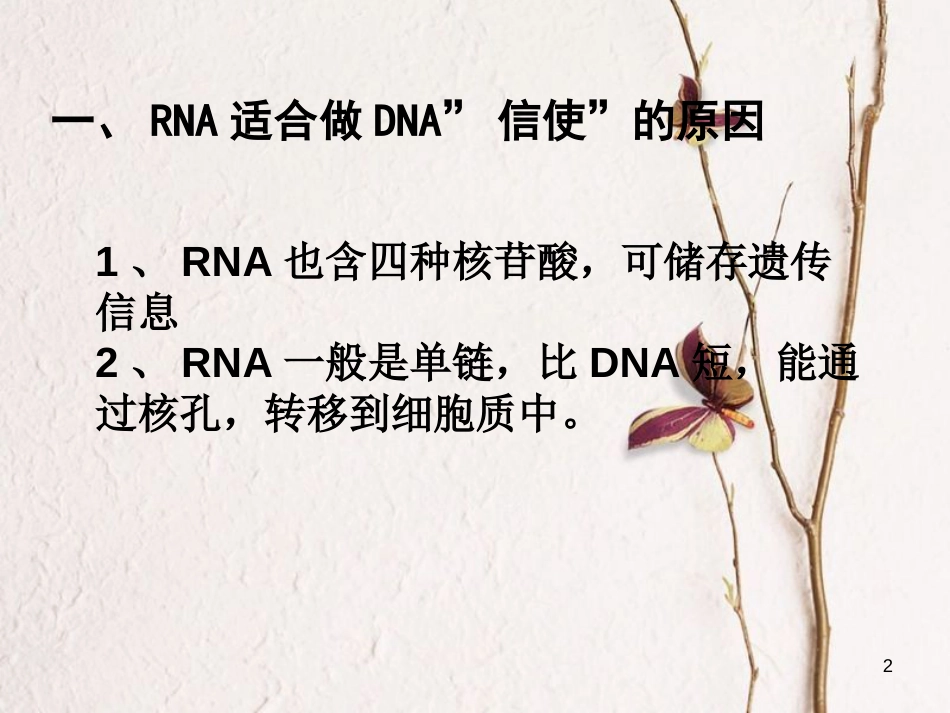 河北省南宫市高中生物 第四章 基因的表达 4.1 基因控制蛋白质合成课件 新人教版必修2_第2页