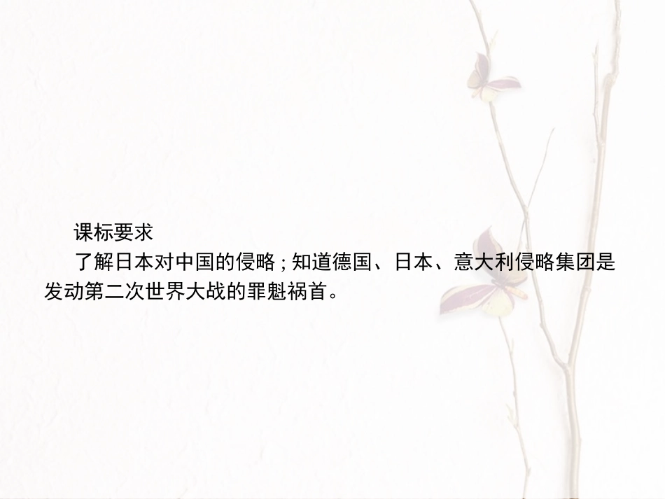 九年级历史下册 第二单元 全球战火再起 6 邪恶的轴心课件 北师大版_第3页