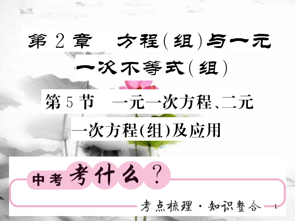 春中考数学总复习 第一轮 同步演练 夯实基础 第一部分 数与代数 第2章 方程（组）与一元一次不等式（组）第5节 一元一次方程、二元一次方程（组）及应用课件 新人教版_第1页