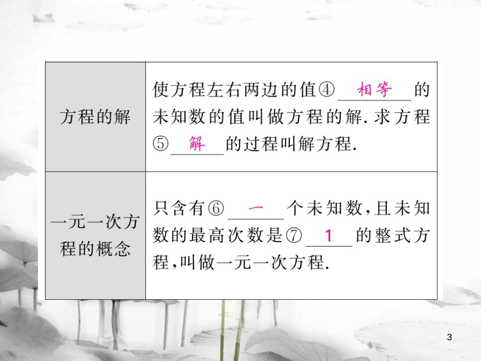 春中考数学总复习 第一轮 同步演练 夯实基础 第一部分 数与代数 第2章 方程（组）与一元一次不等式（组）第5节 一元一次方程、二元一次方程（组）及应用课件 新人教版_第3页