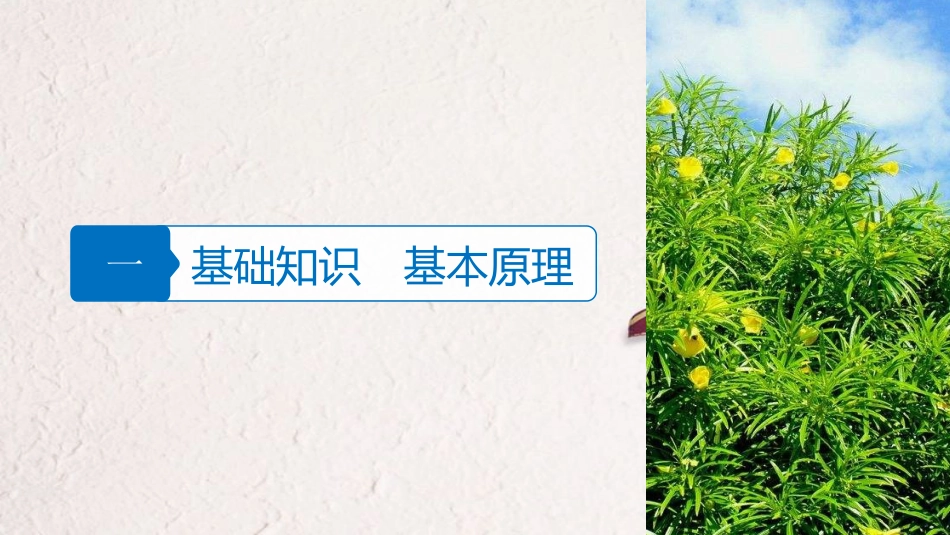 浙江省高考地理二轮复习7区域可持续发展（含“3S”）微专题30区域生态问题及治理课件_第3页