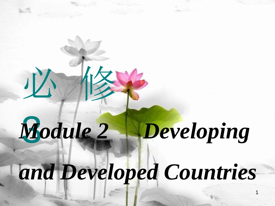 高考英语一轮复习 Module 2 Developing and Developed Countries课件 外研版必修3_第1页