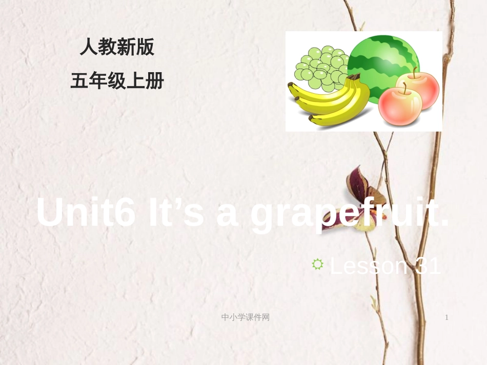 五年级英语上册 Unit 6 It’s a grapefruit（Lesson 31）教学课件 人教精通版_第1页