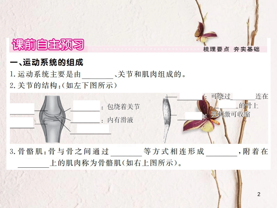 八年级生物上册 5.2.1 动物的运动课件 （新版）新人教版_第2页