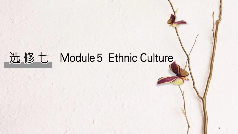 2019版高考英语大一轮复习 第一部分 Module 5 Ethnic Culture课件 外研版选修7_第1页