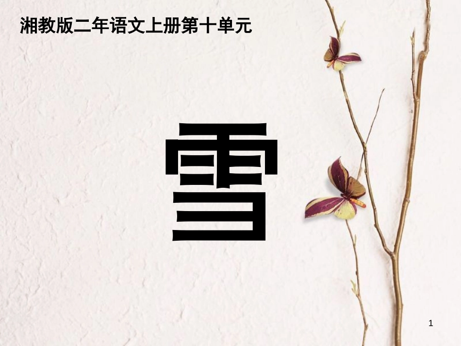 二年级语文上册 第十单元 雪课件1 湘教版_第1页