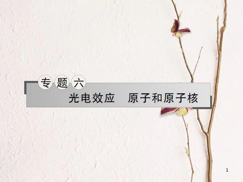 湖南省新宁县高考物理二轮复习 专题6 光电效应原子和原子核课件_第1页