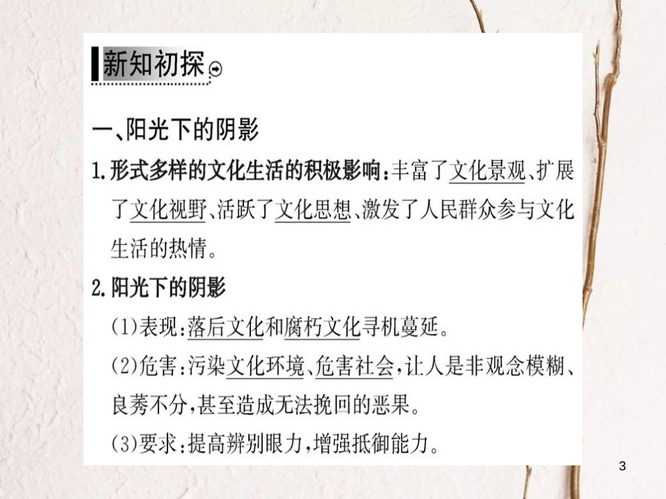 高中政治 第四单元 发展先进文化 第八课 走进文化生活 第二框 在文化生活中选择课件 新人教版必修3_第3页