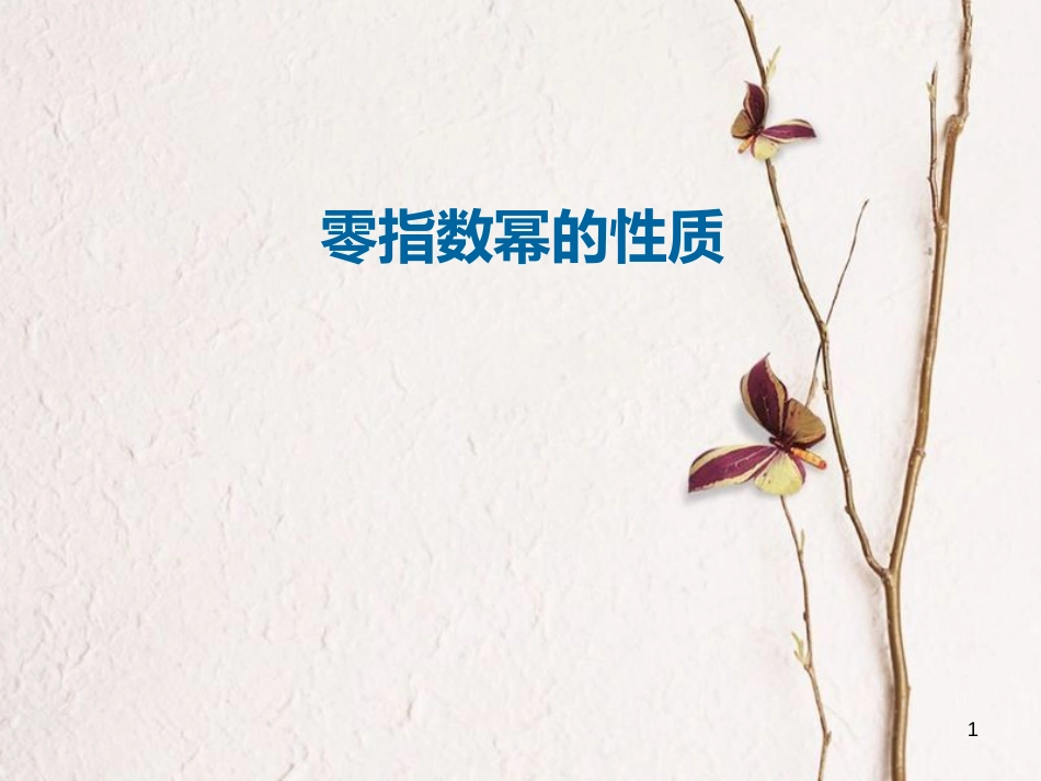八年级数学上册 14 整式的乘法与因式分解 零指数幂的性质课件 （新版）新人教版_第1页