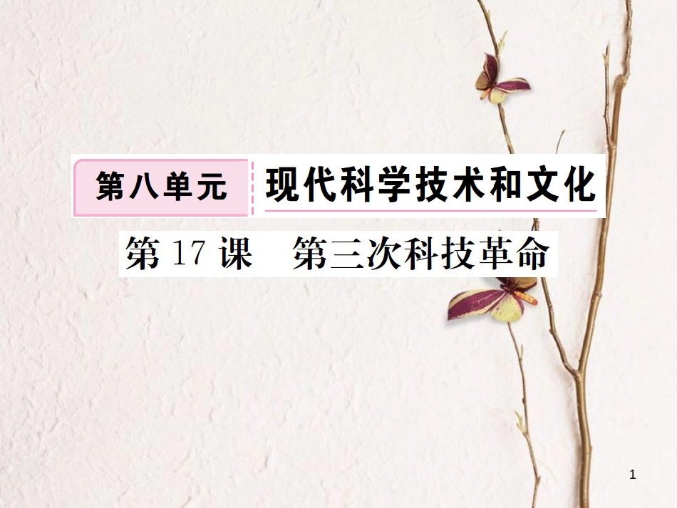 （全国版）九年级历史下册 第八单元 现代科学技术和文化 17 第三次科技革命练习课件 新人教版_第1页