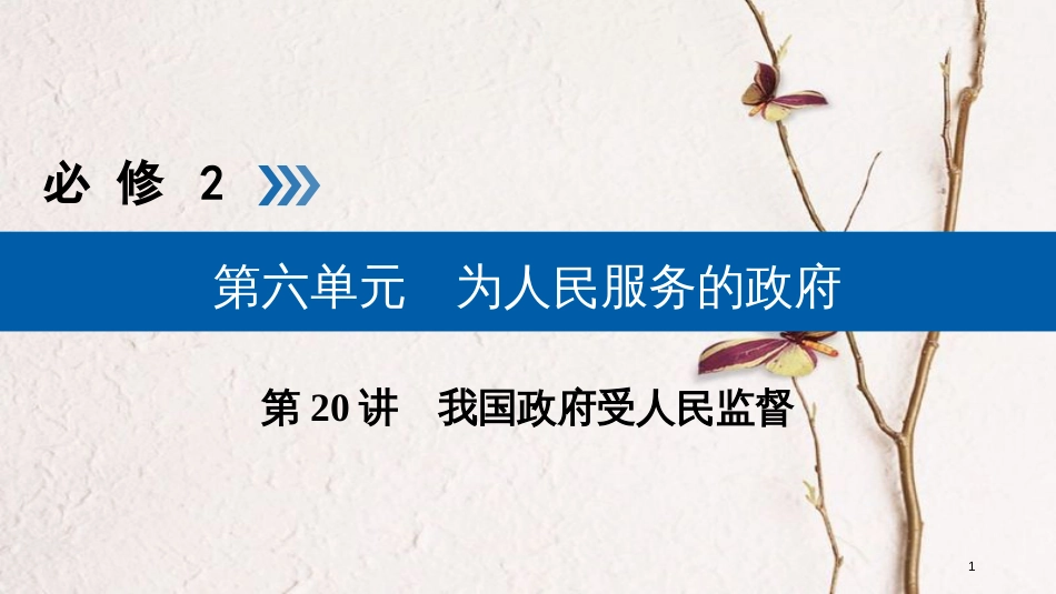 （全国通用版）2019版高考政治一轮复习 第六单元 为人民服务的政府 第20讲 我国政府受人民监督课件_第1页