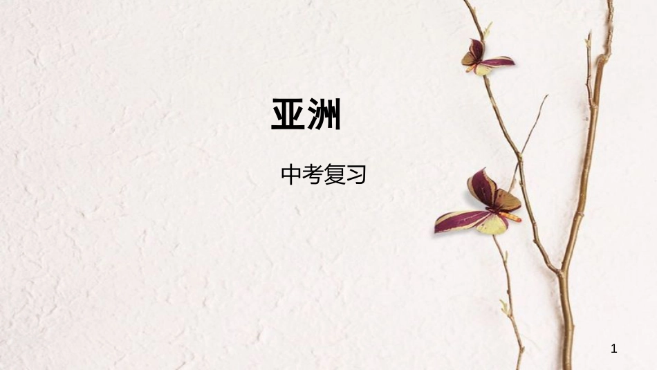 中考地理一轮复习 亚洲课件_第1页